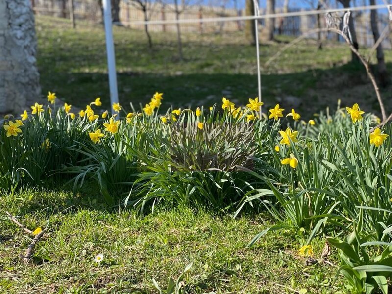 Casa demolabila cu teren de vanzare in Breaza