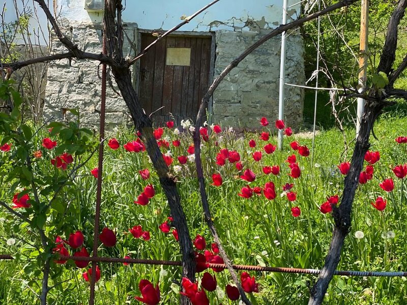 Casa demolabila cu teren de vanzare in Breaza